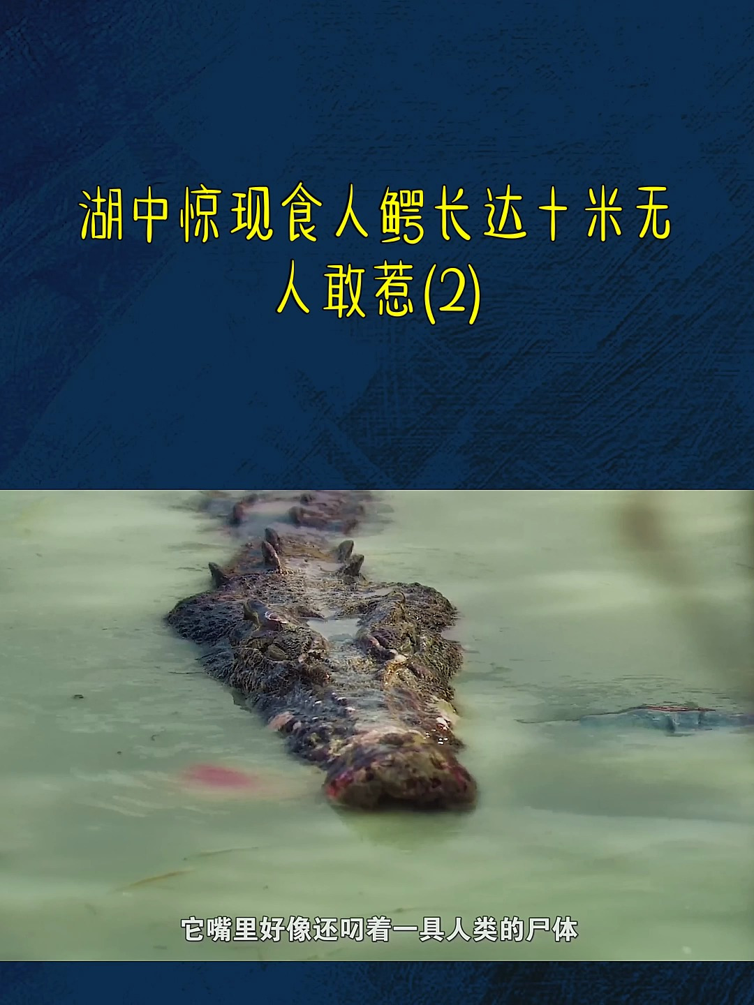 湖中惊现食人鳄长达十米无人敢惹