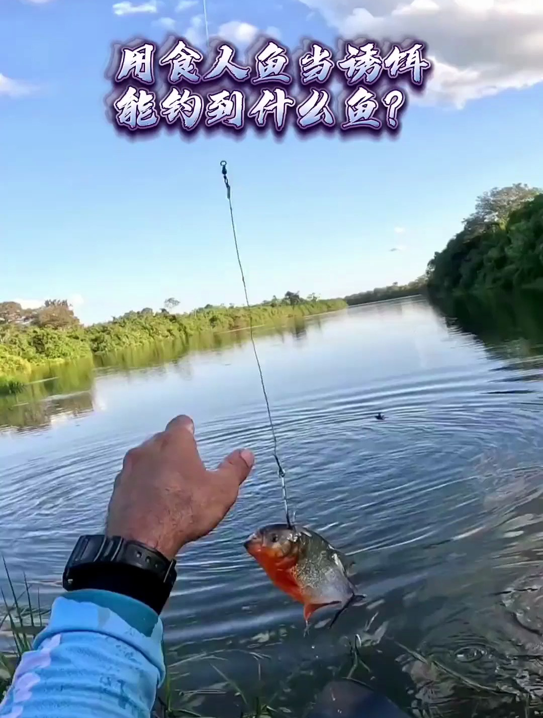 用食人鱼当诱饵能钓到什么怪物?他们怎么做到小水沟都有大鱼的