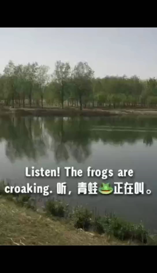 英语现在进行时活用 青蛙正在叫 鸭子在游泳
