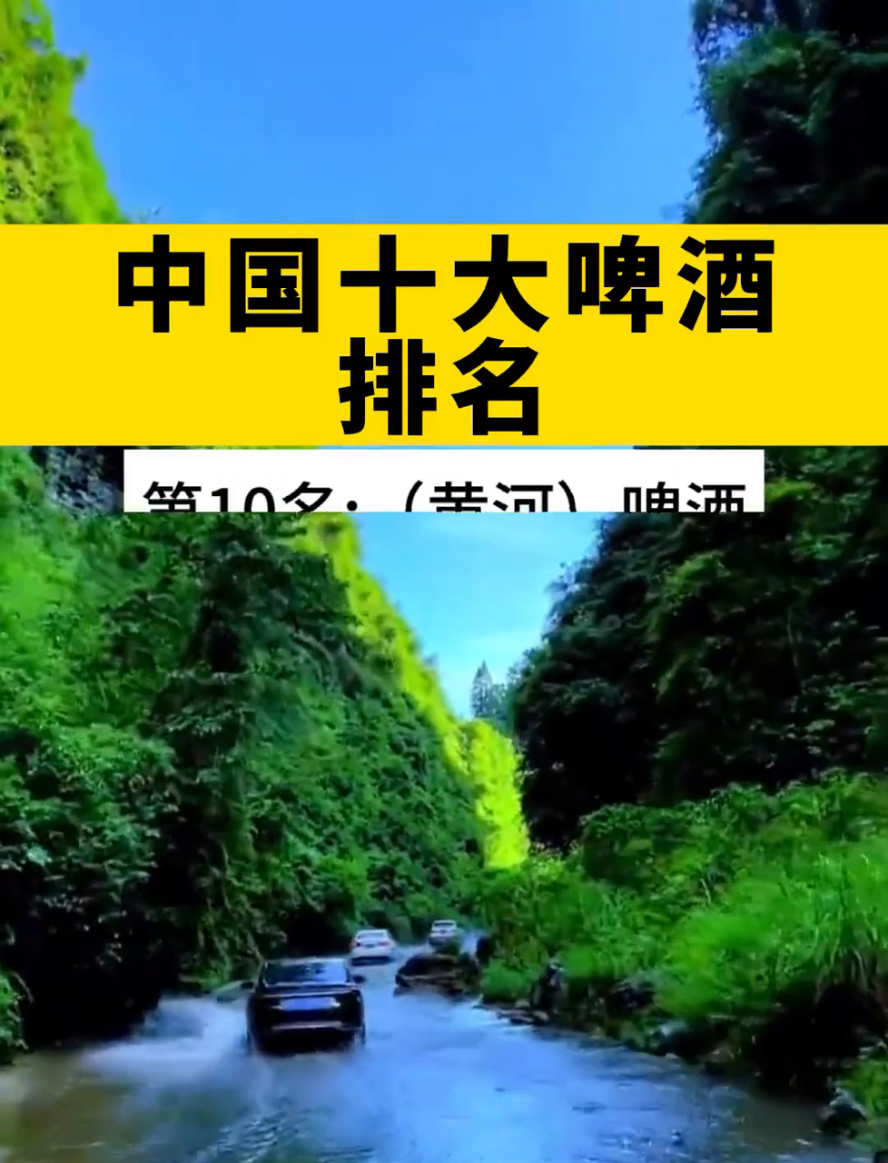 中国十大啤酒排名!