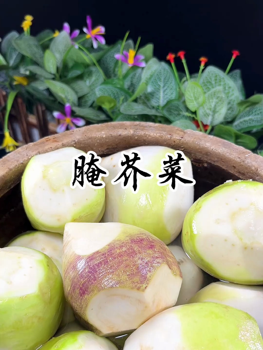 腌芥菜、一年都不坏 做菜我是认真的努力做好每一道菜