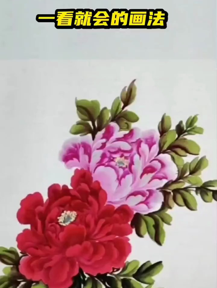 一看就会的牡丹花画法
