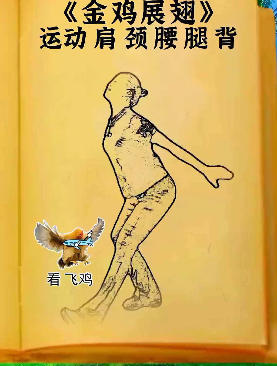 运动肩颈腰背,金鸡展翅