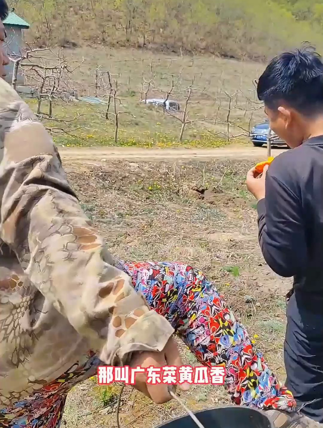 跟老妹上山采山菜,老妹还丢了。鸡蛋酱柳蒿芽,广东菜猴腿炒肉