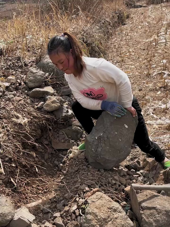 鸡公车拉石头,拉了两车就拉不动了,垮掉重新弄,回来煮水饺吃