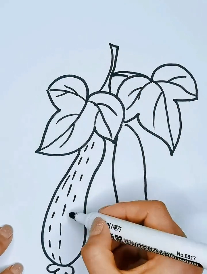 黄瓜儿童简笔画教程