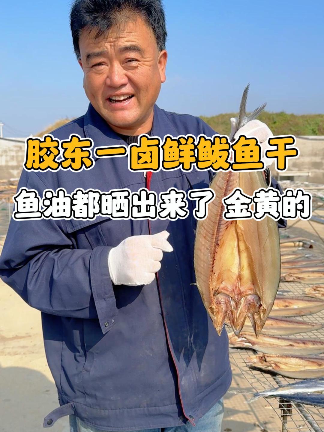 秋高气爽正是晒鱼的最佳时候,自然晾晒出鱼油的鲅鱼干又鲜又香