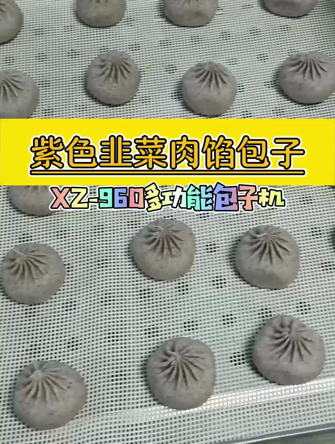960多功能包子机做紫色韭菜肉馅包