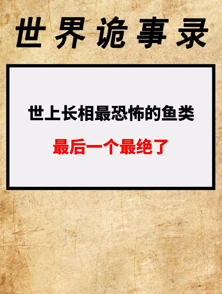 世上长相最恐怖的鱼类