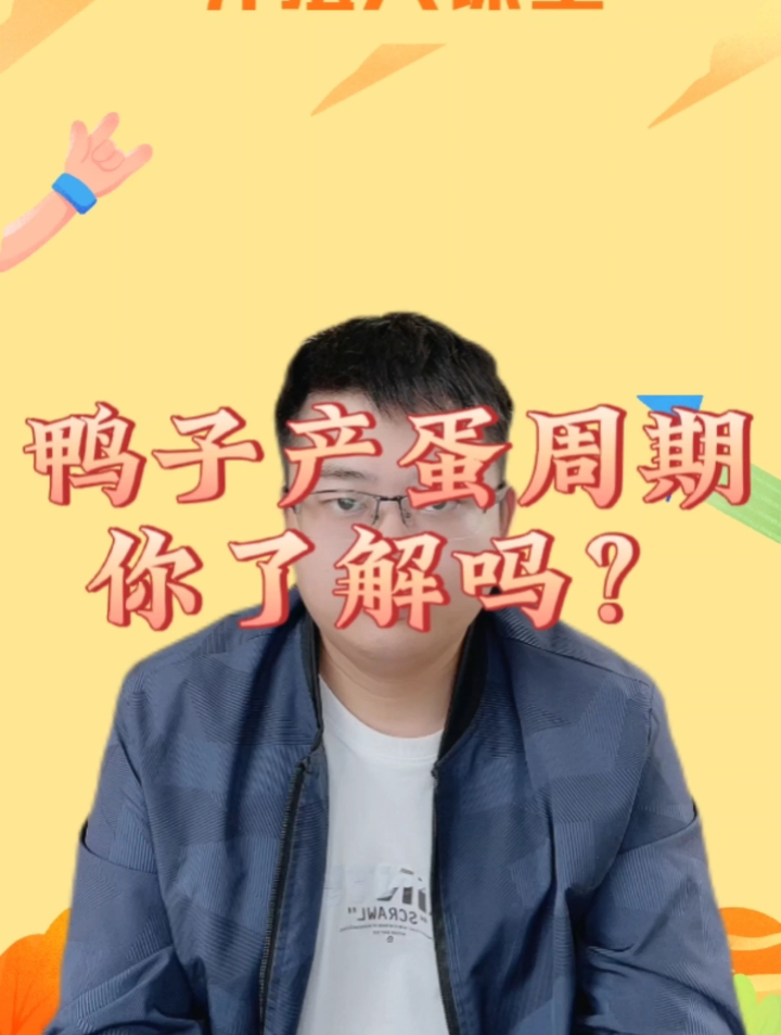 鸭子产蛋周期,你了解吗?