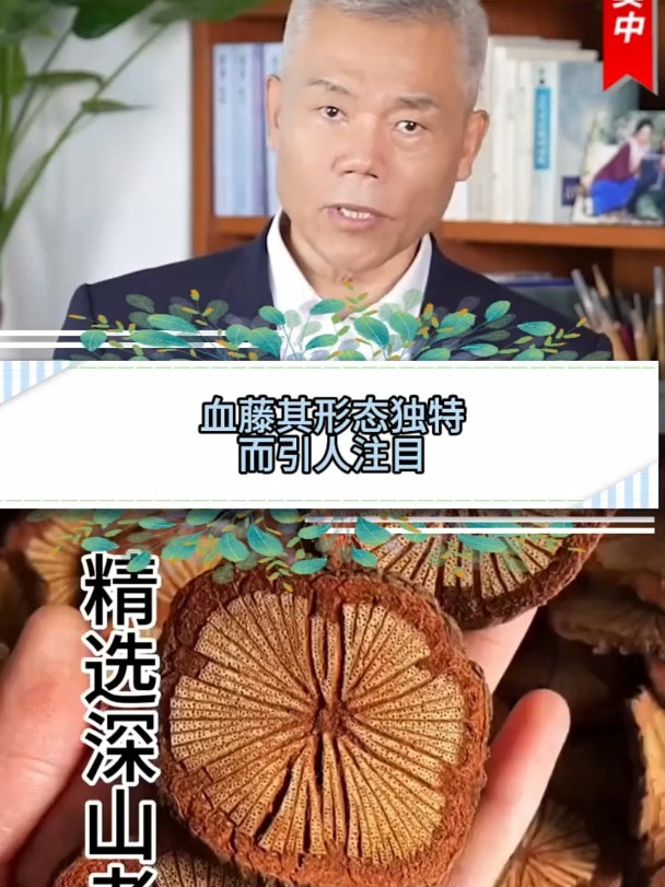 大血藤也叫血塞通,你知道它是干什么的吗?