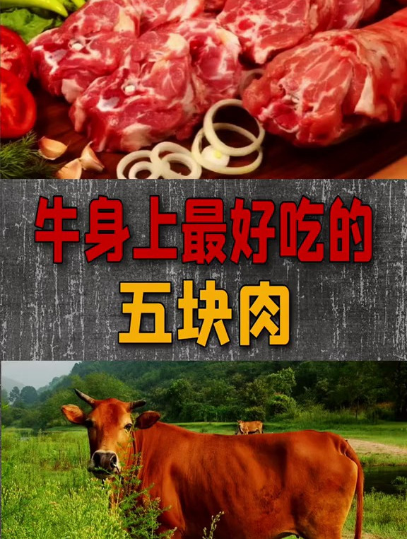 科普一下,牛身上最好吃的肉