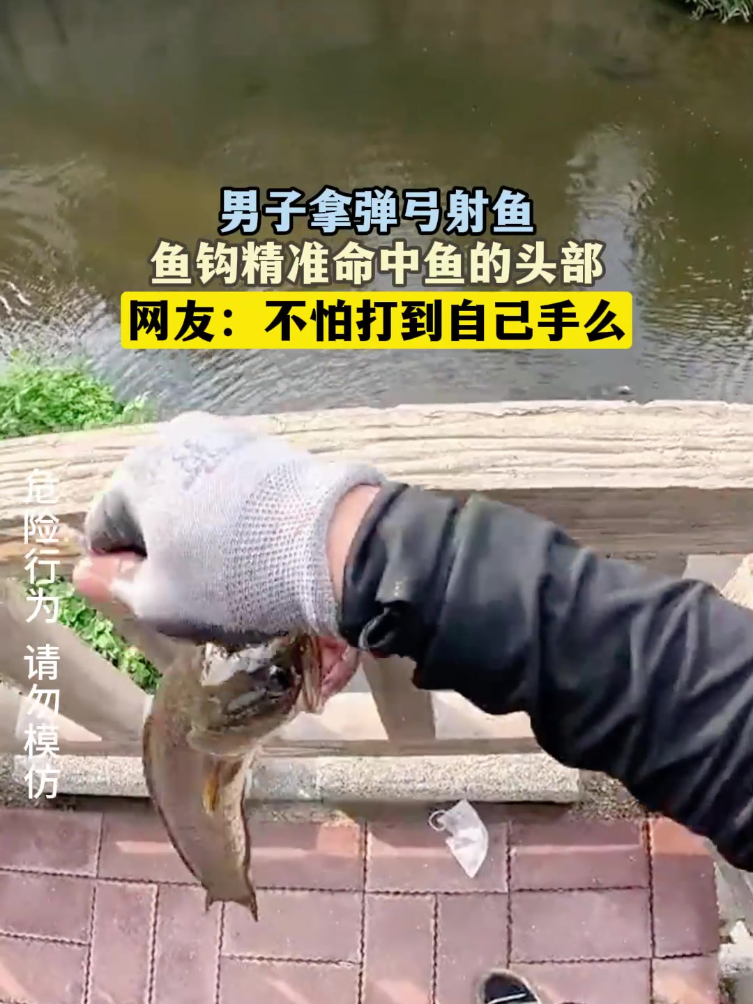 男子拿弹弓射鱼,鱼钩精准命中鱼的头部,网友:不怕打到自己手么