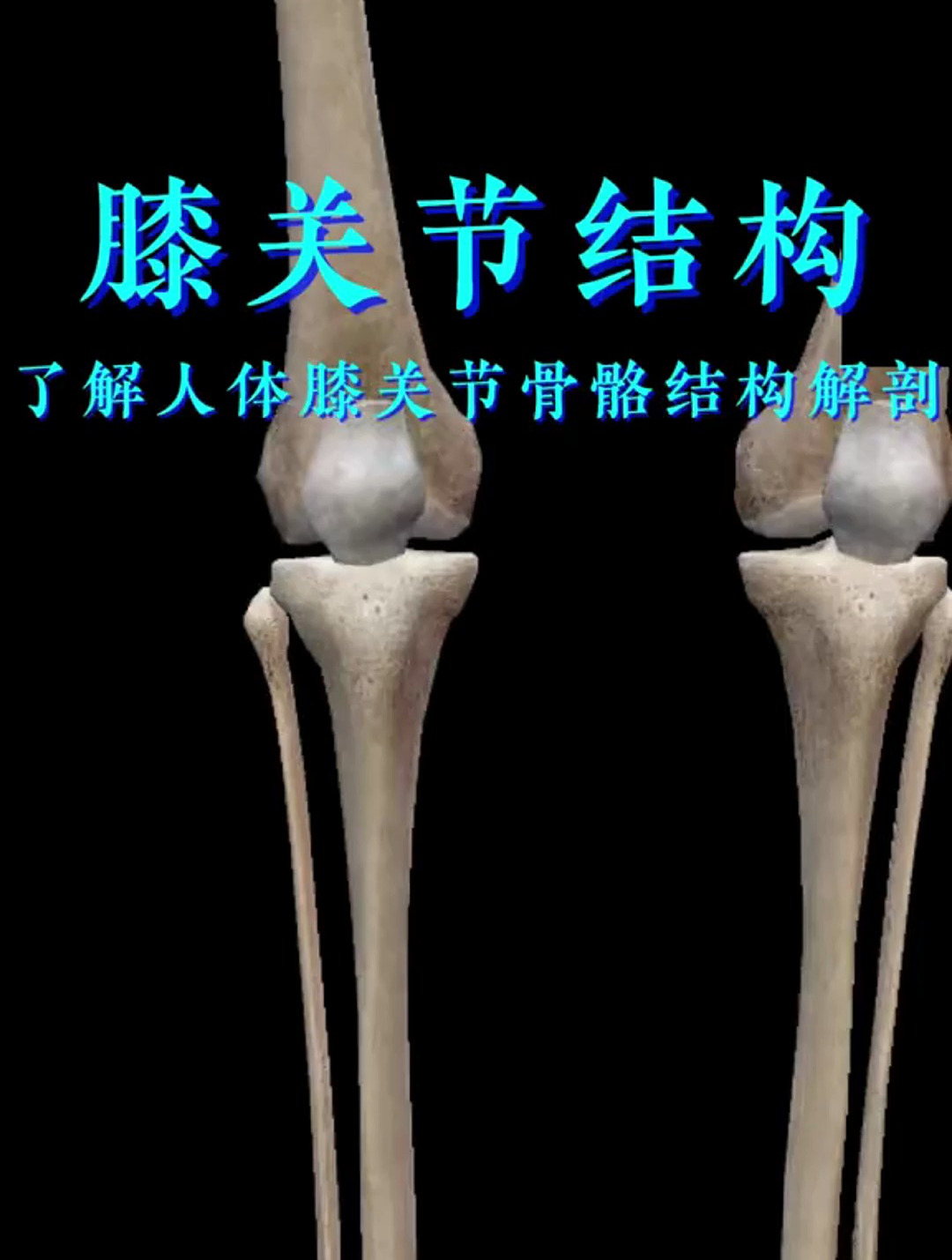 带你了解膝关节骨骼结构