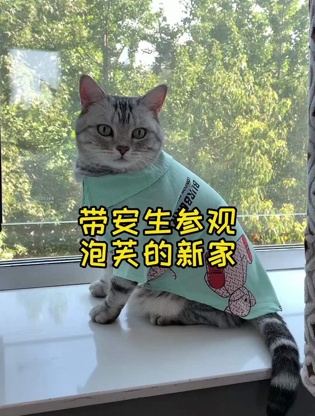 安生去泡芙家像回了自己家一样 俩孩儿吵架为啥都打我