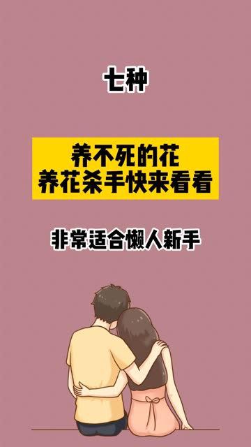 七种你能一直养下去的花卉绿植