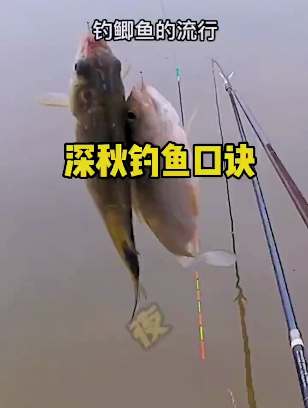 你还知道什么钓鱼秘诀?这5条你绝对要知道!