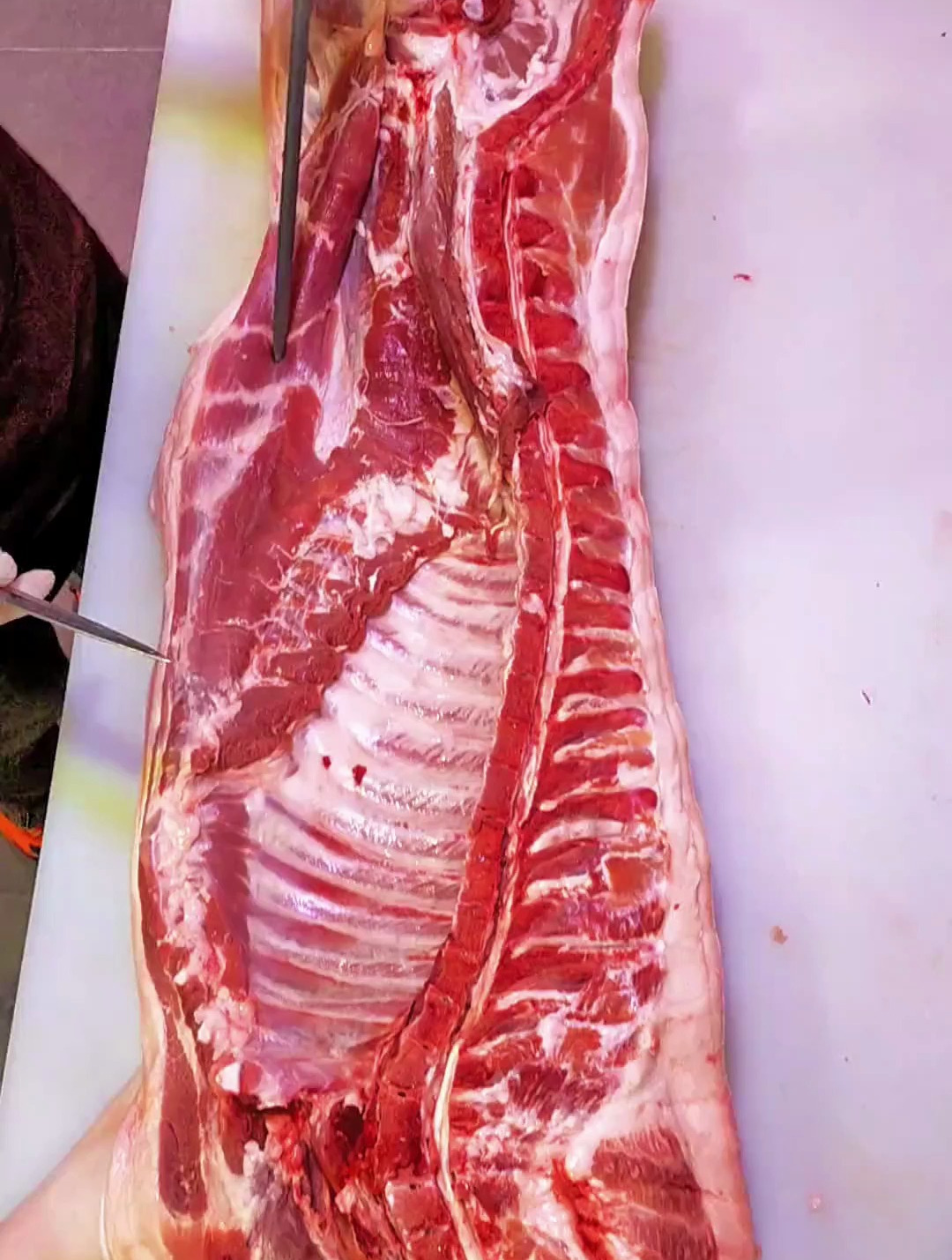 简单说说猪肉部位名称 谢谢大家 猪肉分割技巧