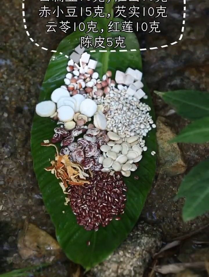 古语有云,五谷宜为养,失豆则不良。煲汤界的八宝粥来啦!