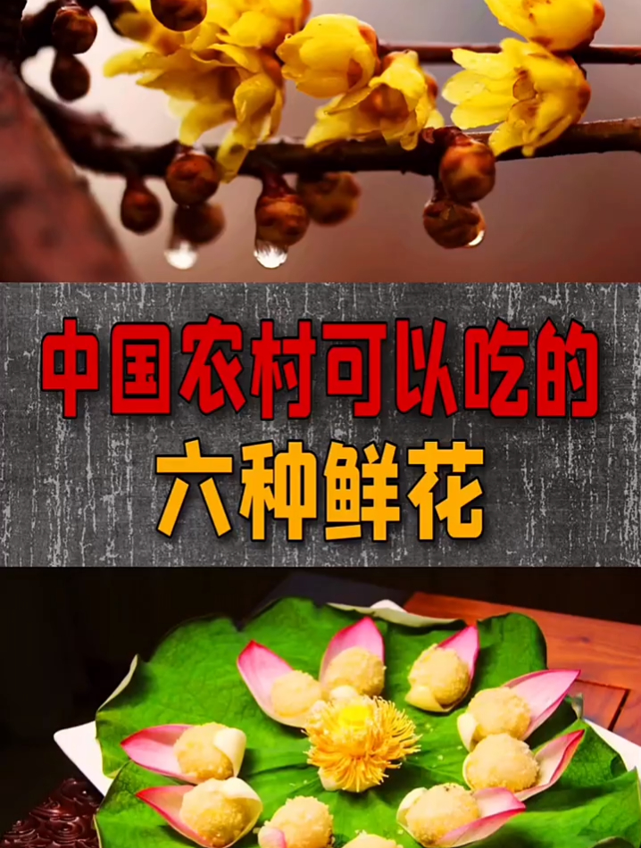 中国农村可以吃的六种鲜花,你吃过吗