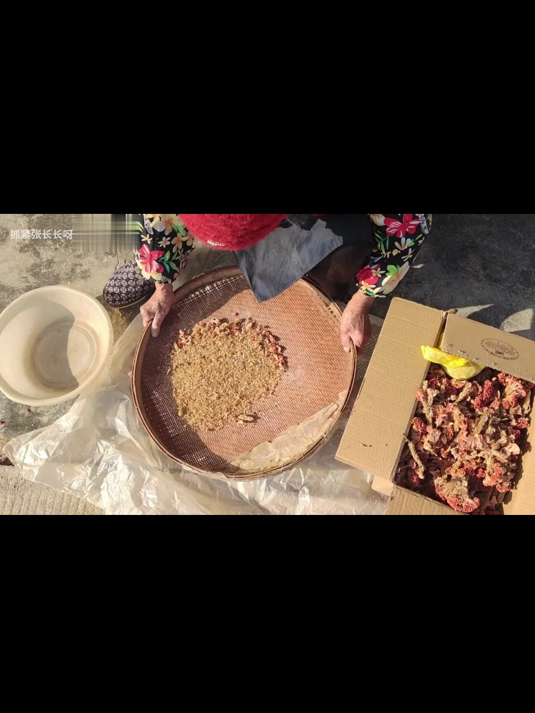 奶奶喜欢的鸡冠花 除了好看 更加有用 流鼻血的小孩这里集合