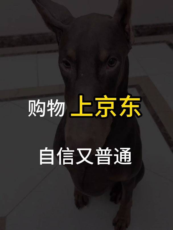 购物上京东,自信又普通