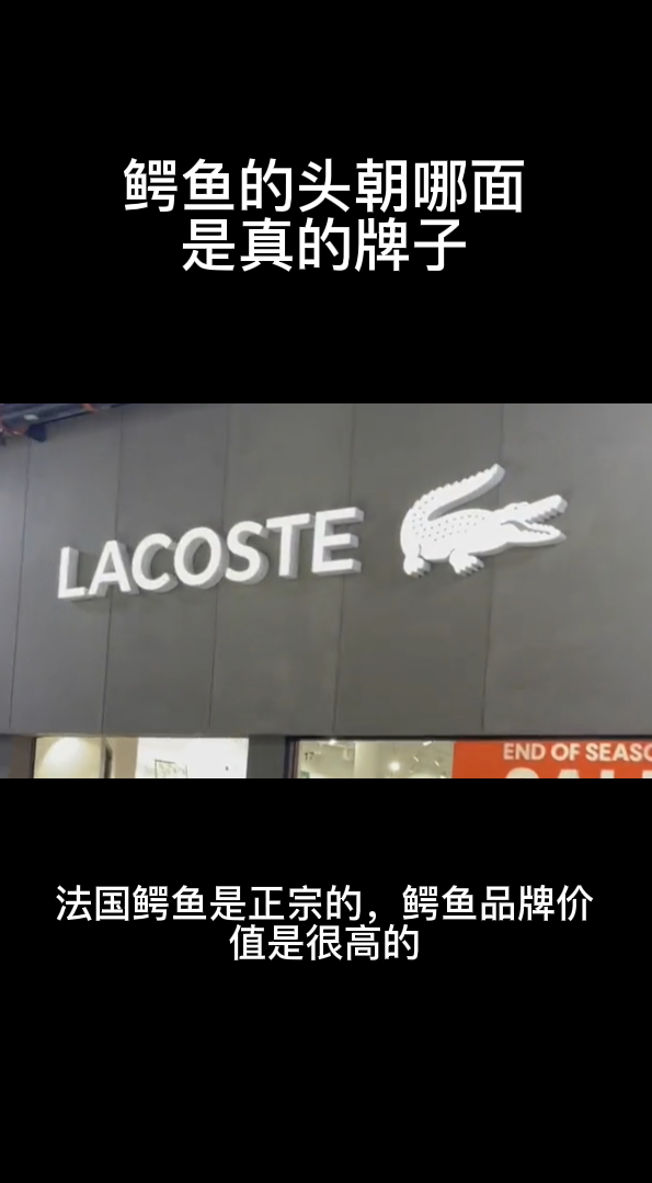 鳄鱼的头朝哪面是真的牌子