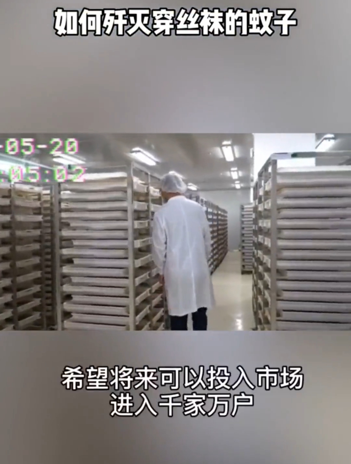 如何歼灭穿黑白丝袜的蚊子?