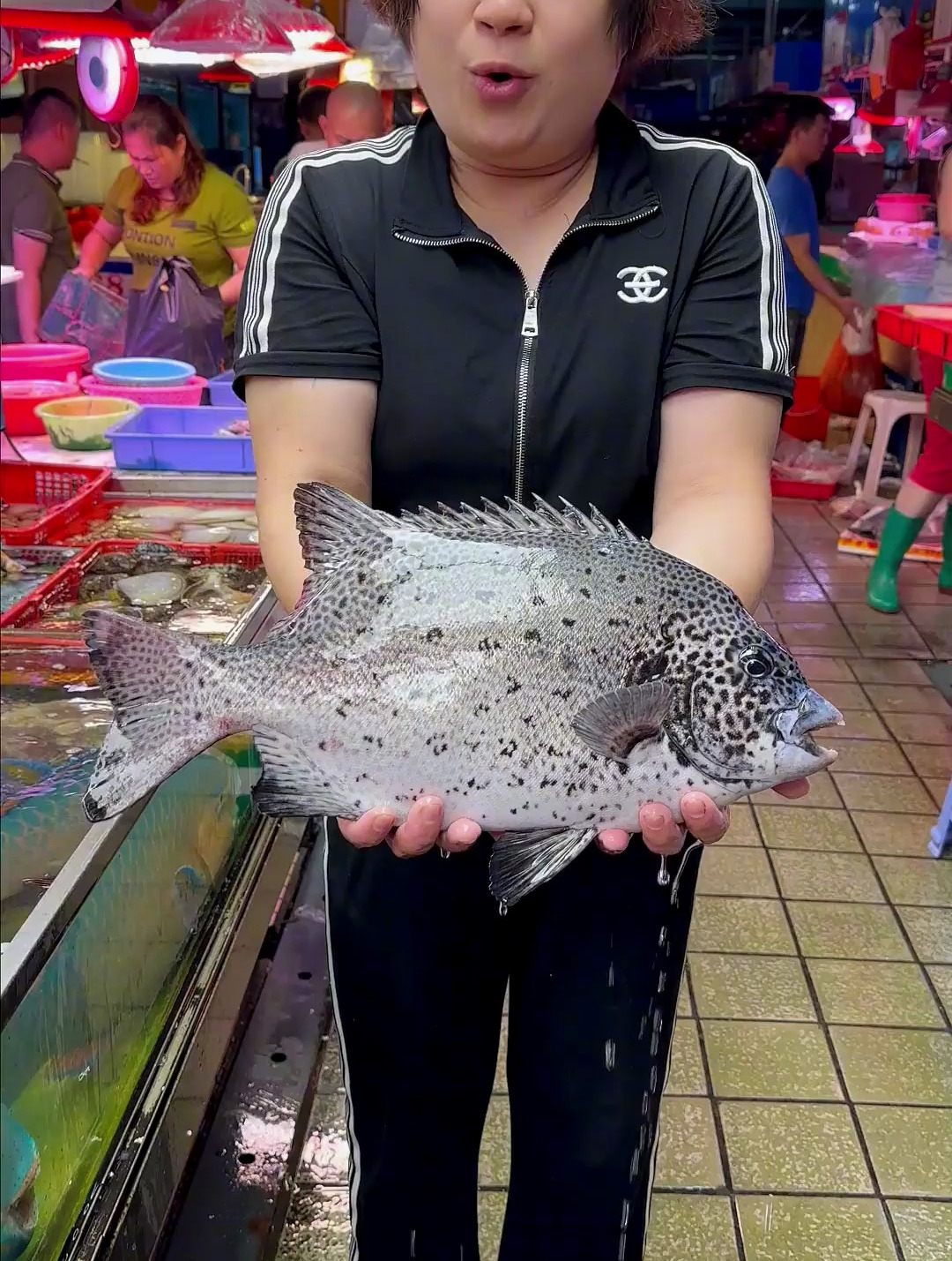 四种不同颜色的石斑鱼做烤鱼