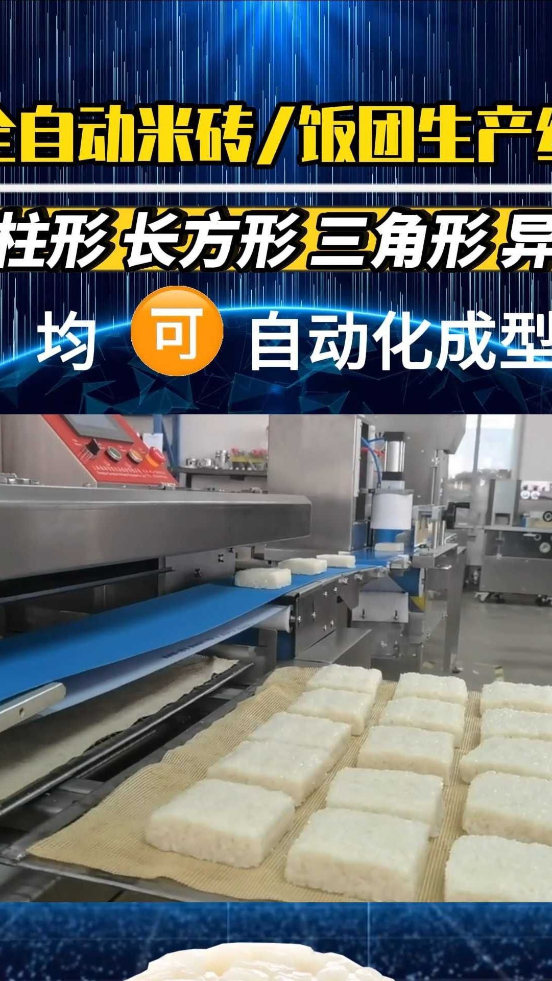 米砖生产线饭团机米饭饭团生产线