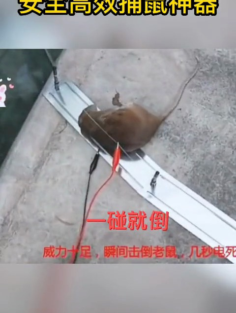 电猫捕鼠器高压灭鼠神器电子猫驱赶老鼠商用驱鼠器电老鼠器全自动