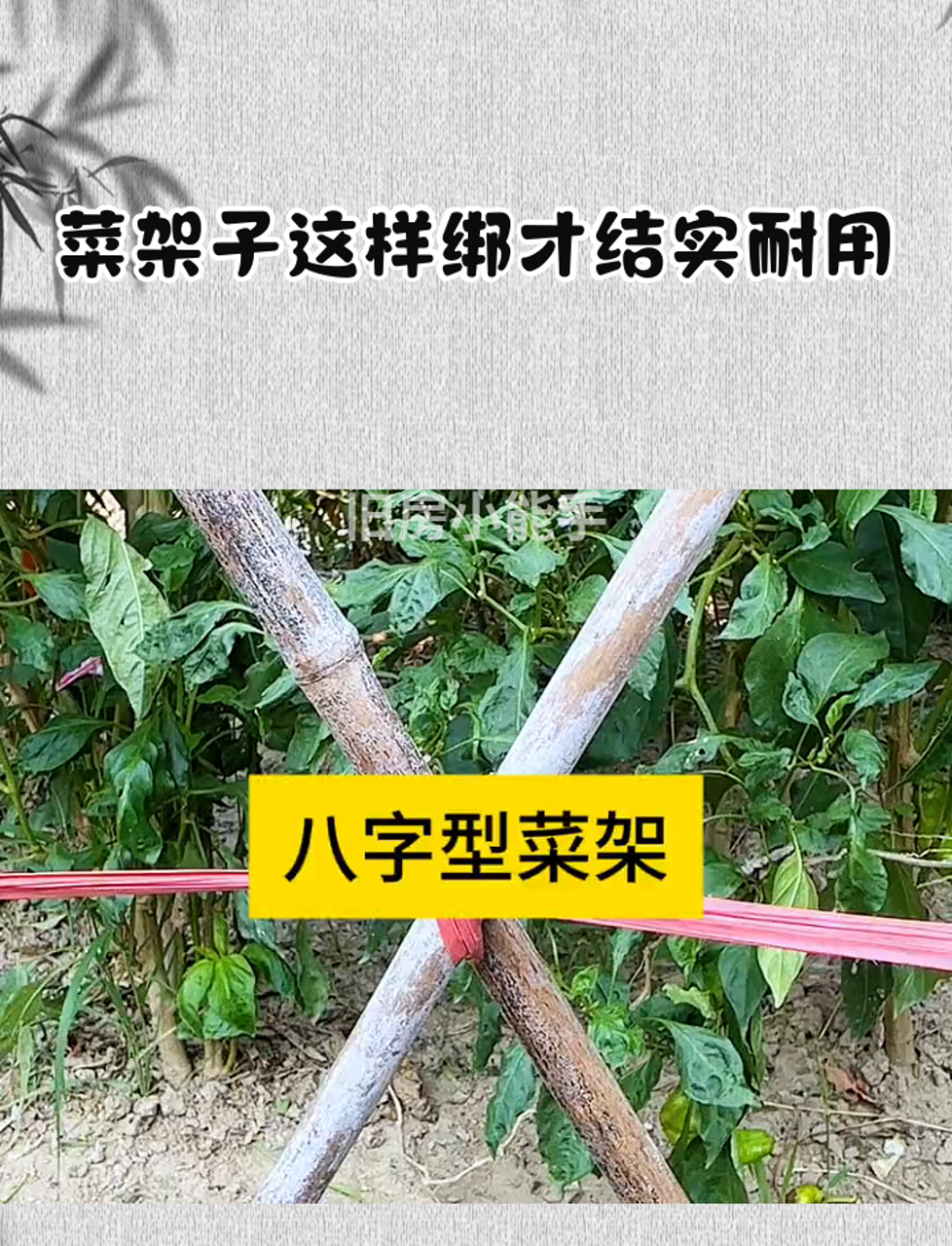 菜架子这样绑才结实耐用