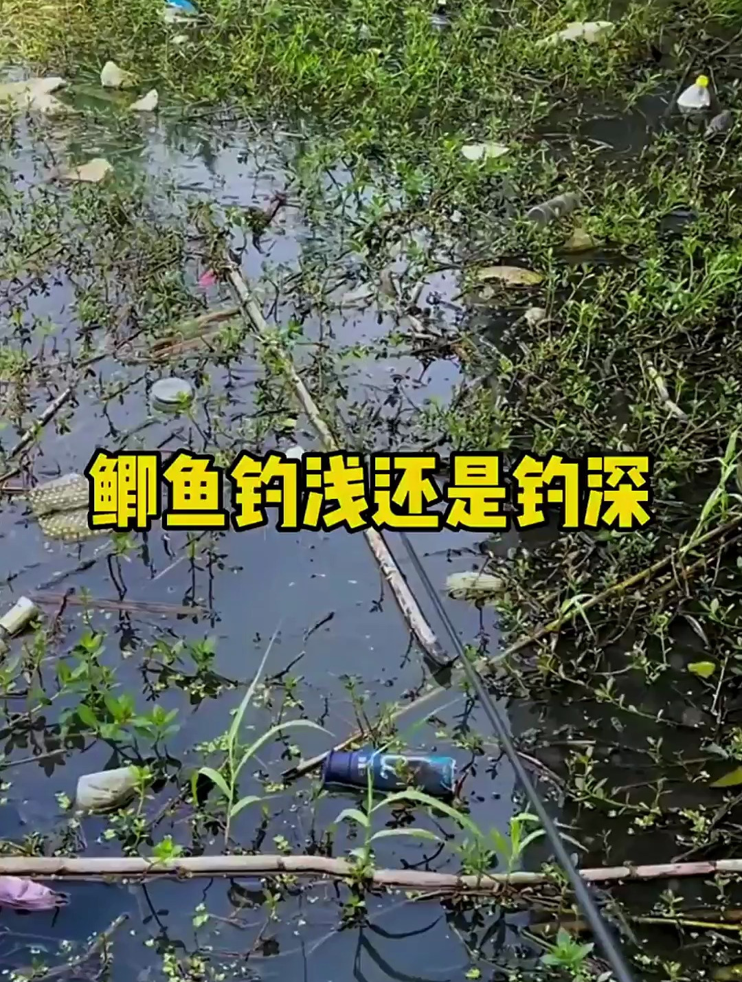 钓鲫鱼深水好还是浅水好?老钓友:找准鱼窝深浅都有鱼!