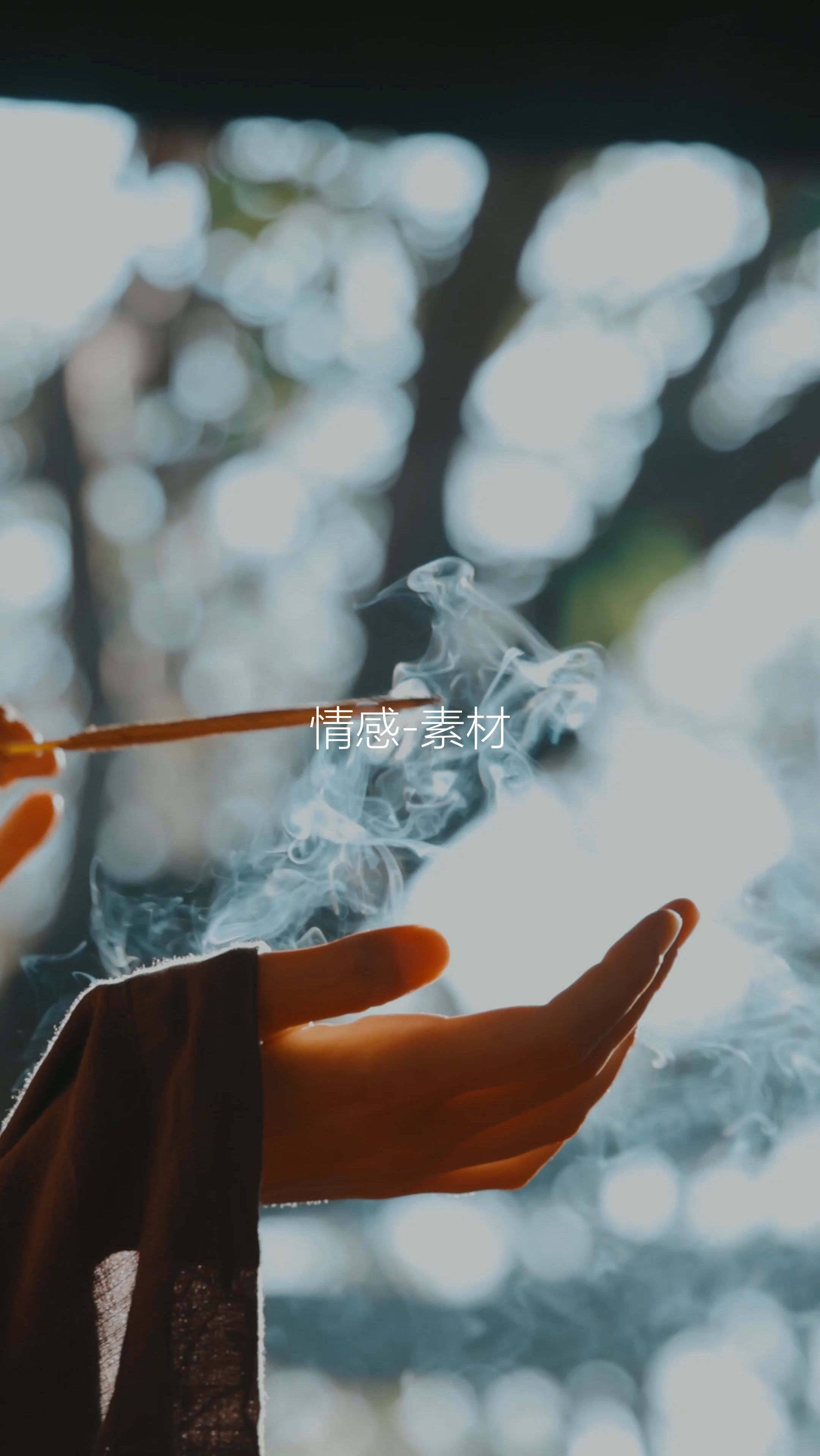 容易涨粉的视频素材
