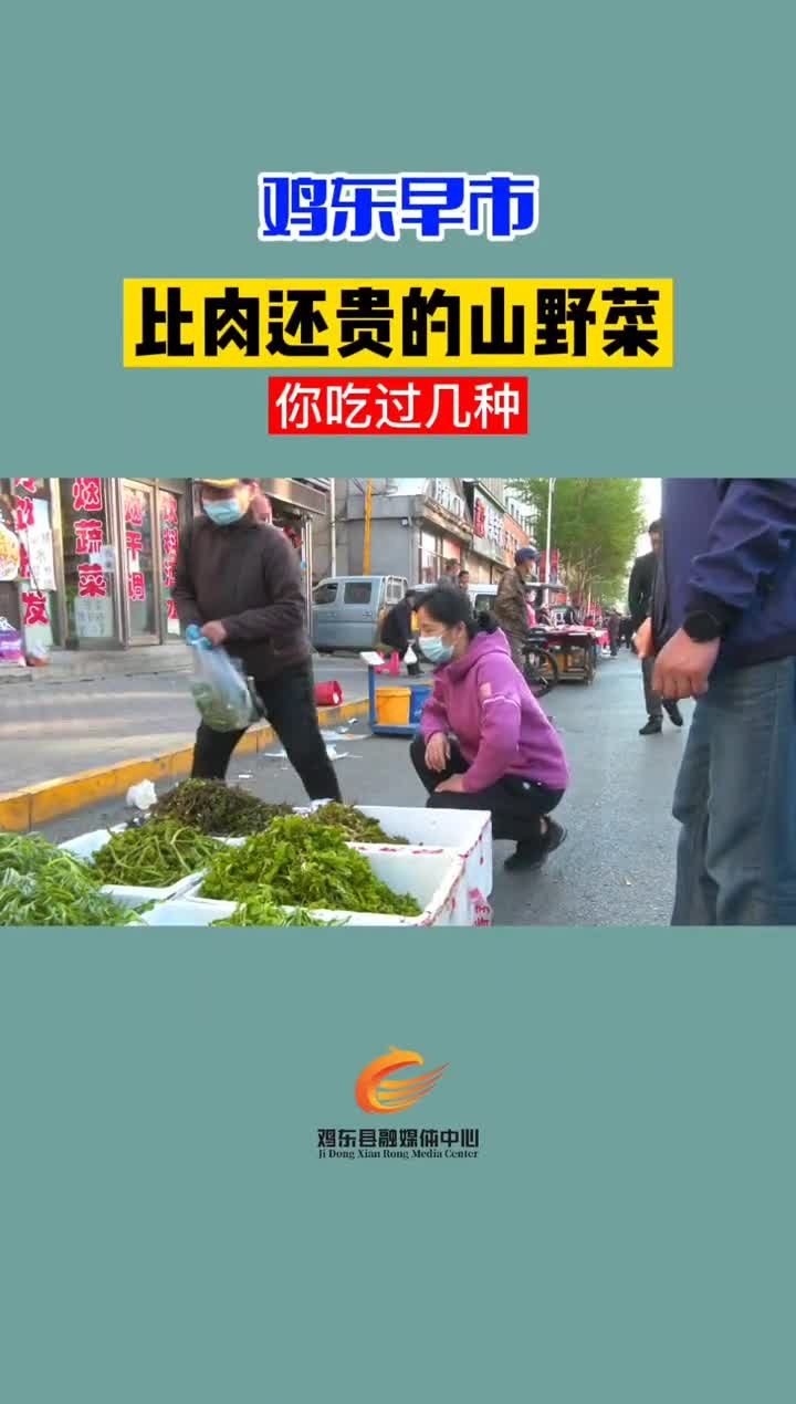 鸡东早市纯绿色山野菜遍地开花 抢菜大哥大姐络绎不绝