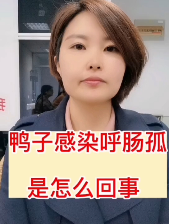 禽医静心谈鸭子感染呼肠孤是怎么回事鸭子肝脏坏死怎么办