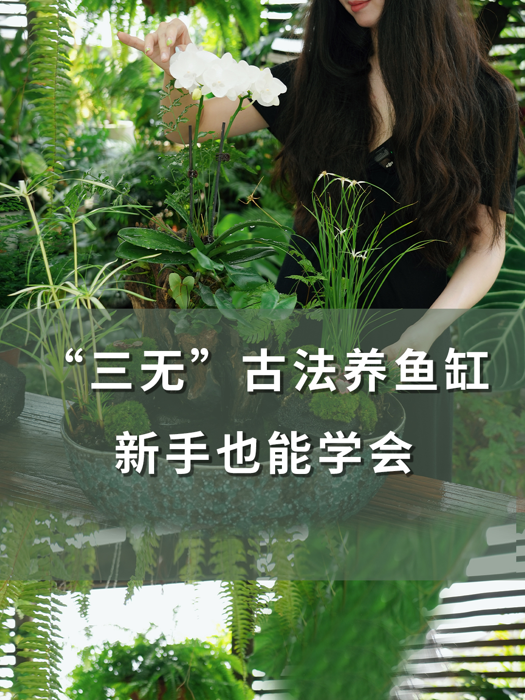 “三无”古法养鱼缸,新手也能学会