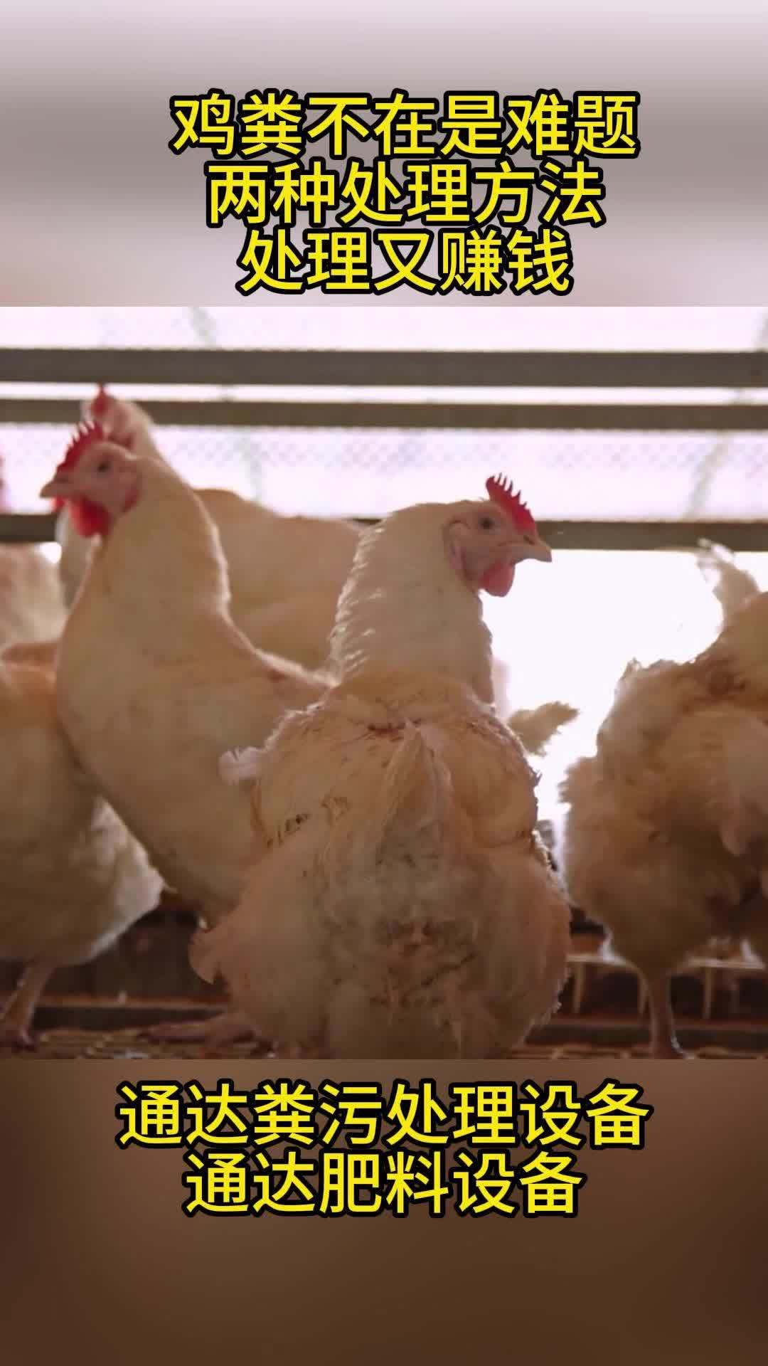 鸡粪的两种处理方式