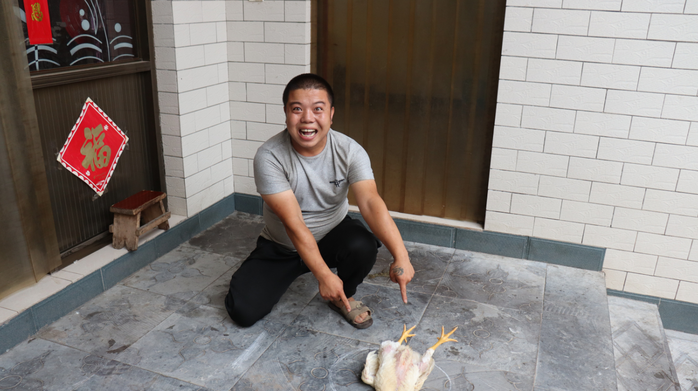 小虎把鸡催眠了,中途用了什么办法?竟让鸡躺到地上睡着不动了