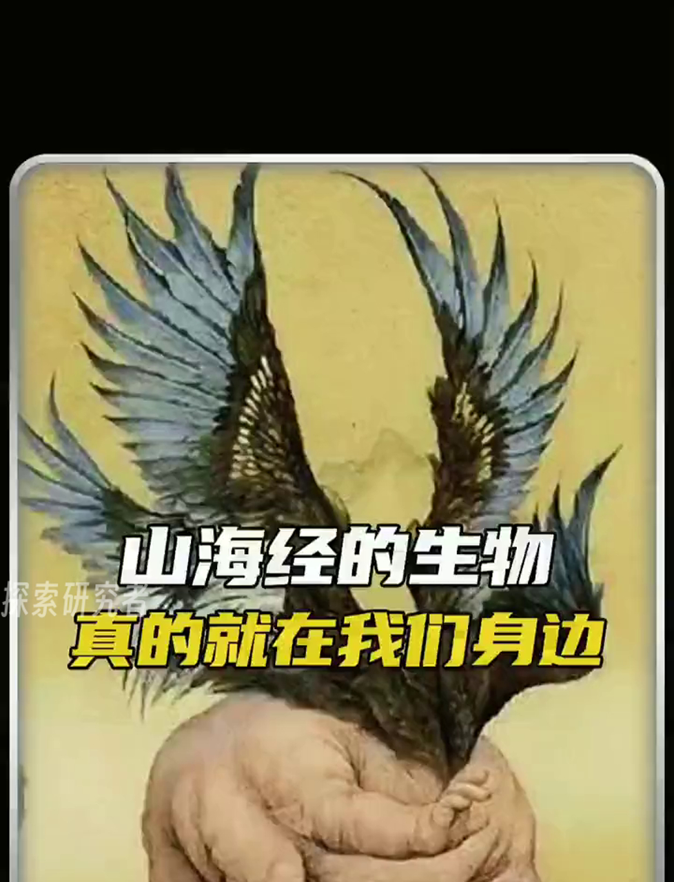 《山海经》里的神兽,难道就在我们周围?