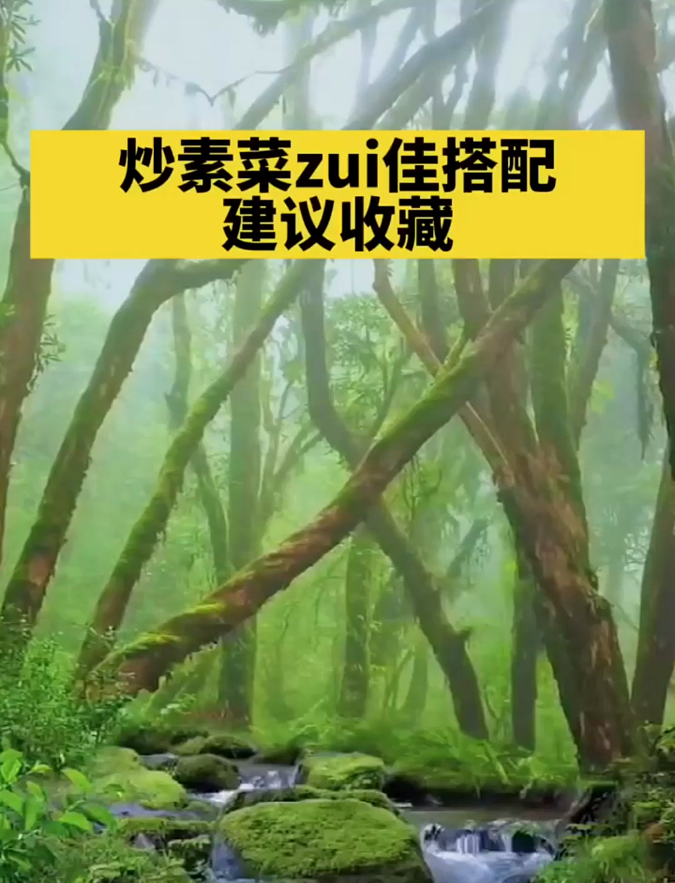 炒素菜的最佳搭配建议收藏