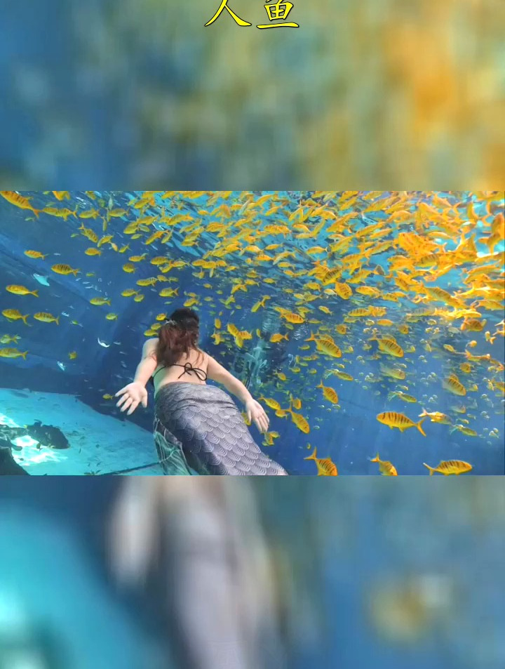 性感的潜羽美人鱼