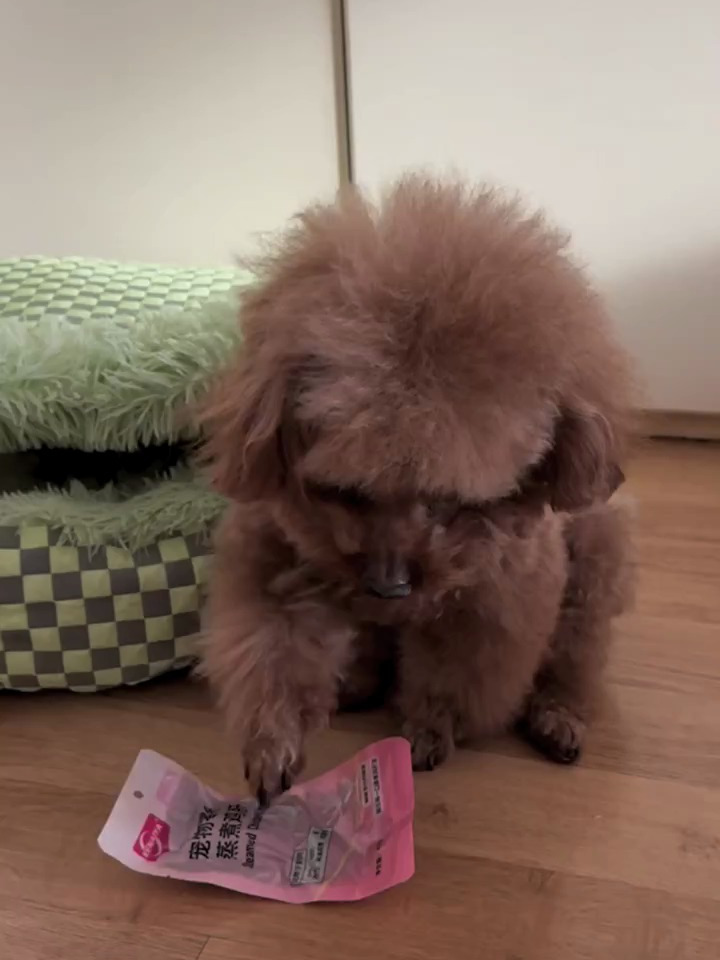狗狗经常吃鸡肝对眼睛有好处