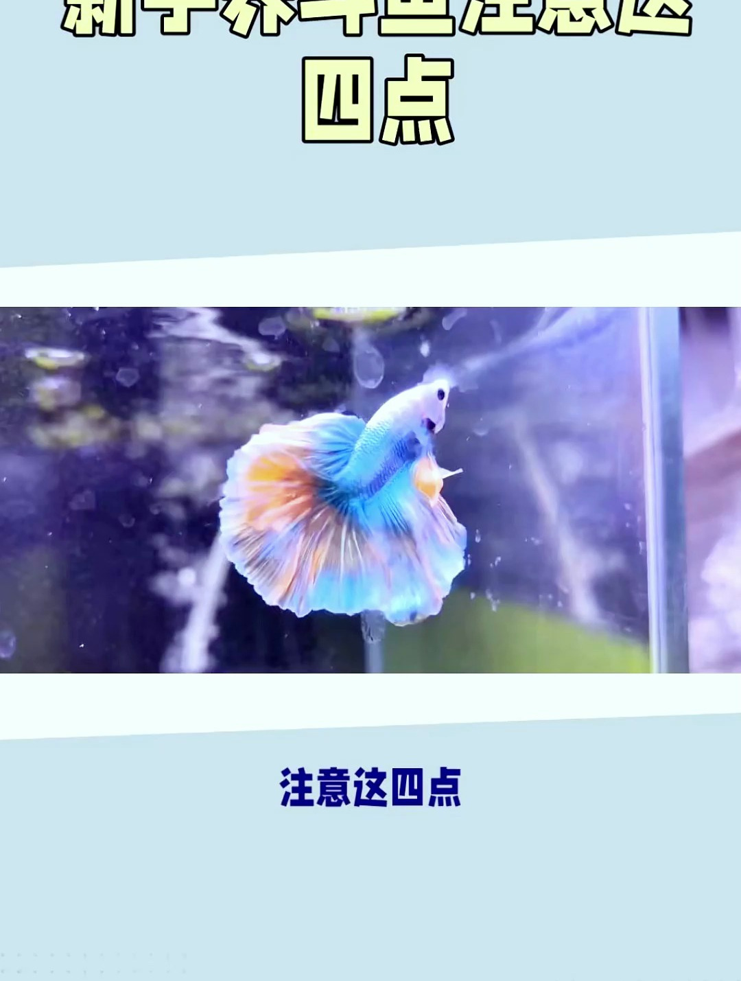做到这四点 想养不好都不行!
