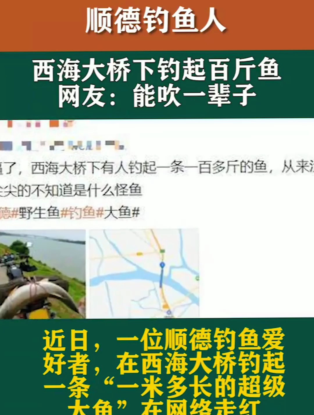 顺德钓鱼人,西海大桥下钓起百斤鱼王,网友:能吹一辈子!
