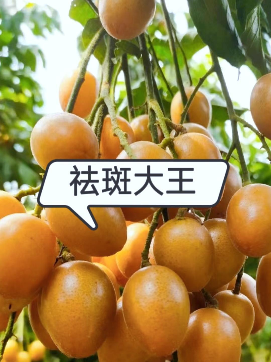 4个祛斑中成药,脸蛋干净了