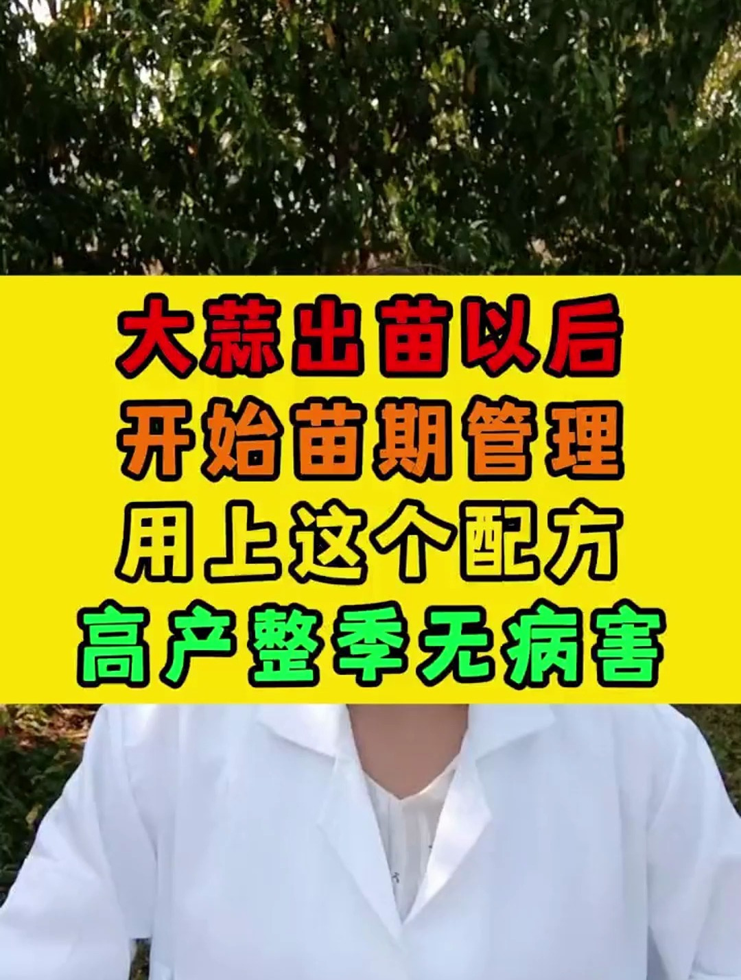 大蒜出苗以后开始苗期管理,用上这个配方,高产整季无病害