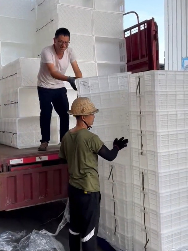 龙虾筐,甲鱼镂空水产虾苗筐水果蔬菜筐鸭苗雏鸡秧苗塑料筐