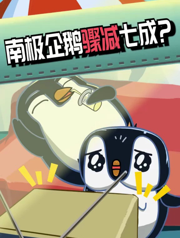南极企鹅数量骤减7成?!