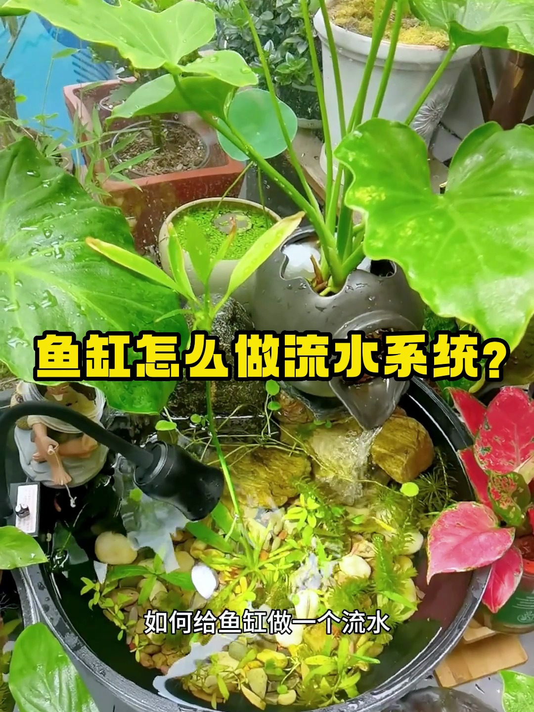 鱼缸的流水系统怎么做?看看车这个方法怎么样!